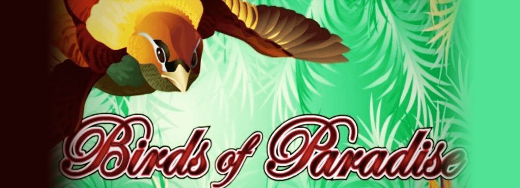 Fly Away with the Birds of Paradise